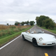 We gays love our old Italian sports cars. Pictured is my 1991 Alfa Romeo Spider.